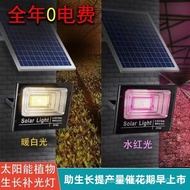 Solar Energy led Plant Grow Light for Flowers and Vegetables Outdoor Full Spectrum Solar Grow Light