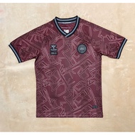 2024 Denmark Special Edition S~2XL/Sports Top/Quick-Drying Jersey/Sports T-Shirt