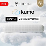 Orientas 6-Star Hotel Pillow Artificial Goose Down Kumo Model Soft And Fluffy Non-Stick Fur