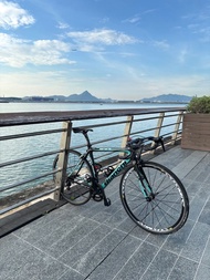 Bianchi semprepro 2017碳纖維公路車
