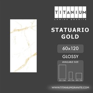 Granit Titanium Granite - STATUARIO GOLD - GLOSSY - 60x120 TOP GRADE