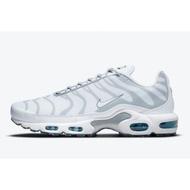 2021 Air Max Plus White/Grey DM2466-100
