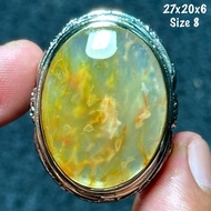 Agate Ring Chakra Gold Chakra Aquarium Jumbo Crystal (natural)