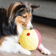 【瑞典益智玩具】 貪吃狗-益智翻滾球(2色) LV1 寵物玩具