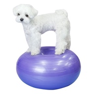 Nanpet dog patella strengthening donut gym ball squat balance ball dislocation protection exercise, purple, 1 piece