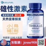 【加瀨免運/下單備注電話】【美國超強補睪丸】補充荷爾蒙持久雄性激素睪丸酮囌增肌刺蒺藜