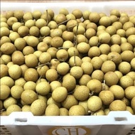 Ready Gan Buah Lengkeng/Kelengkeng 1 Keranjang Ready Gan