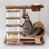 Climbing Course Set For Sugar Gliders With Stairs Wood Water Cup Rattan Mattress | Pet Toys In Cage 