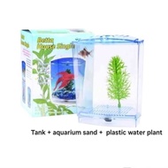 Aquarium Tank / Fish Tank / Plastic Fish tank / Betta Tank / Aquarium betta / Aquarium Kecil / Small