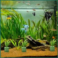 Aquatic Plants Fixed Set 10pcs Fish Tank Water Plants Fixing Ring Aquarium Accessories Aquarium Land