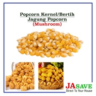 POPCORN KERNEL (MUSHROOM )/ BERTIH JAGUNG POPCORN MUSHROOM POP CORN