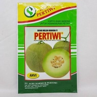 |BEST| BENIH MELON PERTIWI ANVI F1 - Bibit Melon madu dari pertiwi