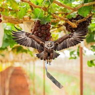 ASI Waterproof Bird Scarer Simulation Owl Bird Repellent Pest Control Artificial Scarecrow With Refl
