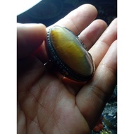 Green baboon moss pandan