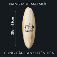 Squid cysts, squid bones, squid bones, large size, super large, super giant, 25-28 cm, Calcium Suppl
