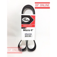 Genuine Grace Brand Front Belt 6PK2260