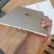 TERUJI IPAD AIR 2 128GB WIFI CELLULAR KODE 859