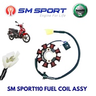 BENELLI SM SPORT110R  SM SPORT110E SM SPORT110 COIL MAGNET COIL STARTER FUEL COIL STARTER COIL
