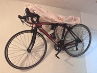 公路單車