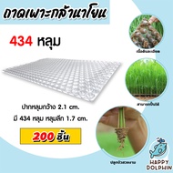 ถาดเพาะกล้านาโยน 434 หลุม แพ็ค 1-700 ชิ้น ถาดเพาะนาโยน เพาะกล้าข้าว ถาดนาโยน ถาดเพาะกล้า ถาดเพาะต้น