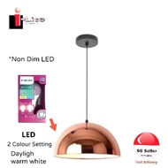 PENDANT LIGHT WITH E27 LED BULB 8W 2 SETTING COLOUR TEMPERATURE