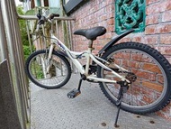捷安特20吋兒童腳踏車YJ250