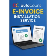 AutoCount E-Invoice Installation Service