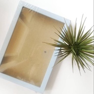 Scrapbook frame dowry frame 20x30 blue