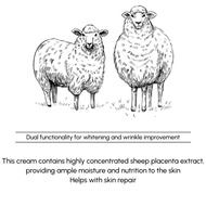 (BLANC DUBU OFFICIAL STORE) Nuborn Cell Placenta Stem Cell Intensive Repair Cream 50ml - COCOMO