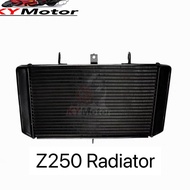 KAWASAKI  Z250/300 Z250 NINJA 300 Z300 RAdiator -Year from 2013-2019