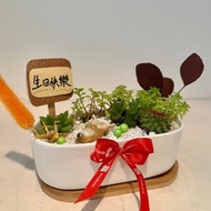 柴犬 日式簡約 客製化送禮 多肉組盆 多肉植物 創意盆栽 多肉盆栽