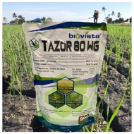[ORIGINAL] 1KG Tazor 80WG ( Propanil 80% ) Biovista Racun Rumput padi burung/Rumput ekor tebu  Rumpu
