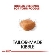 Royal Canin Poodle Adult 3Kg / Rc Poodle Adult 3 Kg / Free Shipping Poodle