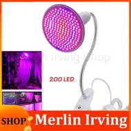 Merlin Irving Shop 200 Led grow light bulb desk Clip holder led growing lamp for plants flower  indoor hydroponics system garden greenhouse