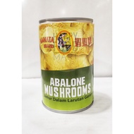[PROMO] MAMATA ABALONE MUSHROOM 425G CANNED OYSTER MUSHROOM/ MUSHROOM ABALONE CAN/ TREE HU KO