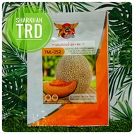 Paket 50-100biji TML-052 Phayak Biji Benih Rock Melon Manis F1 Hybrid Rockmelon Seeds Thepmongkhol Seed Thailand.