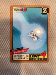 已開、飛天 龍珠暗閃卡