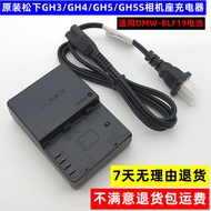 Original Panasonic DMC-GH3 GH4 GH5 G95S GH5S G9 S1 G9L Camera Battery Holder Charger