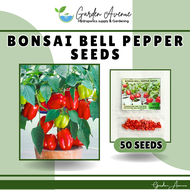 BONSAI BELL PEPPER SEEDS (50pcs seeds) High Yield/For Container &amp; Pot Gardening