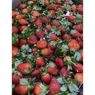 Healthy Dehydrated Dried Cameron Highland Strawberry Slices-低温处理金马伦草莓片