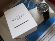 丹麥Skagen男裝手錶