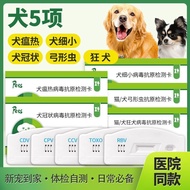 Daily Dog Five Items Package Dog Test Paper Dog Plague Small Corona Bow Bug Wild Dog SCTM