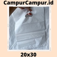 Plastic Packing Size 20x30 with Plastic Holes Plastic Packing Olshop Plastic Packing Clothes