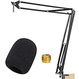 Rode NT1A Mic Stand with Pop Filter - Microphone