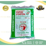 Npk Starter Fertilizer 21 21 21 plus TE Golden max