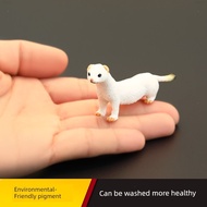 Solid children's simulation animal toy wild animal model ferret blindfold ferret forest ferret cogni