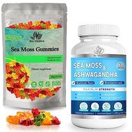 Sea Moss Ashwagandha & Sea Moss Gummies (Bundle) - Irish sea Moss raw Organic, Bladderwrack, Burdock