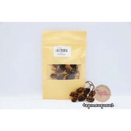 10 Alder Cones (Erlenzapfen) - Pine Cones - Color Shrimp District 3