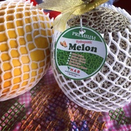 Melon Hidroponik