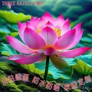 Beautiful Lotus Lotus Leaf Lotus Pattern Sticker Wall Sticker Door Sticker Bathroom Cleanliness Stic
